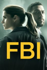 مسلسل FBI الموسم الثاني مترجم كامل
