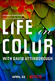 مسلسل Life in Colour مترجم الموسم الأول كامل